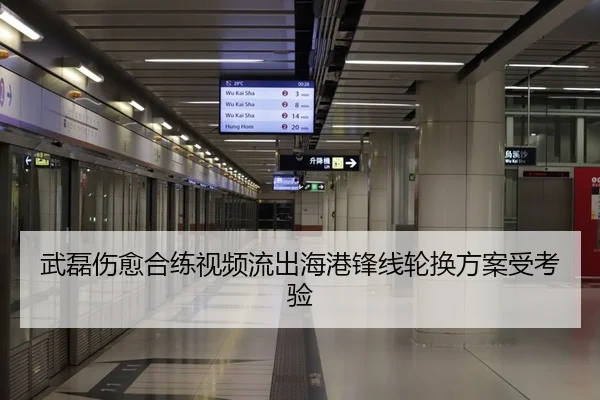 武磊伤愈合练视频流出海港锋线轮换方案受考验